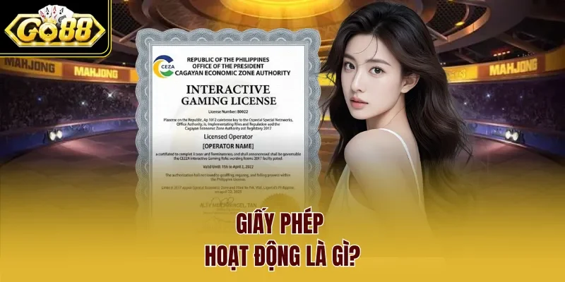 Giấy phép hoạt động là gì?